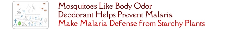 Mosquitoes like body odor, Deodorant helps prevent malaria. Make malaria defense from starchy plants. Malaria Vector Control, Open Source